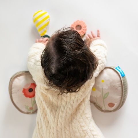 Taf Toys Ergonomiczna Poduszka do zabawy na Brzuszku – Panda Taf Toys Ergonomiczna Poduszka do zabawy na Brzuszku – Panda