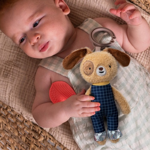 Taf Toys Pies Daniel – przytulanka i gryzak dla niemowląt 0m+ z funkcjami sensorycznymi Taf Toys Pies Daniel – przytulanka i gryzak dla niemowląt 0m+ z funkcjami sensorycznymi