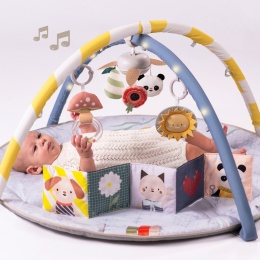 Taf Toys Mata Edukacyjna z Melodią i Światełkami – Melody Bloom Gym