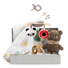 Taf Toys Ekskluzywny Zestaw Prezentowy dla Noworodka