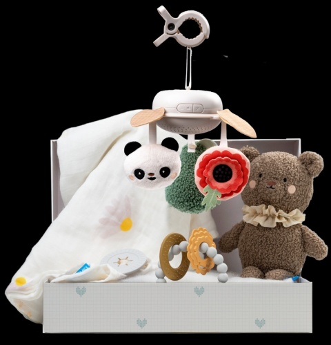 Taf Toys Ekskluzywny Zestaw Prezentowy dla Noworodka Taf Toys Ekskluzywny Zestaw Prezentowy dla Noworodka