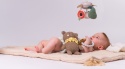 Taf Toys Ekskluzywny Zestaw Prezentowy dla Noworodka
