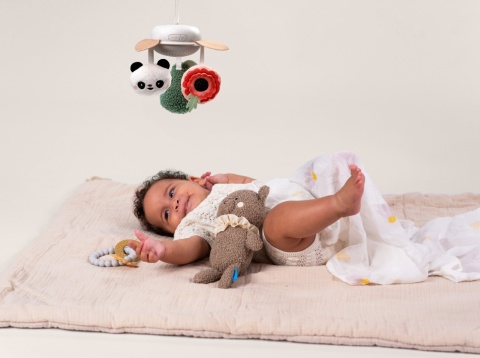 Taf Toys Ekskluzywny Zestaw Prezentowy dla Noworodka Taf Toys Ekskluzywny Zestaw Prezentowy dla Noworodka