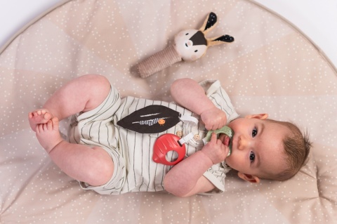 Taf Toys Zestaw Sensoryczny Czarno-Biały dla Noworodków Taf Toys Zestaw Sensoryczny Czarno-Biały dla Noworodków
