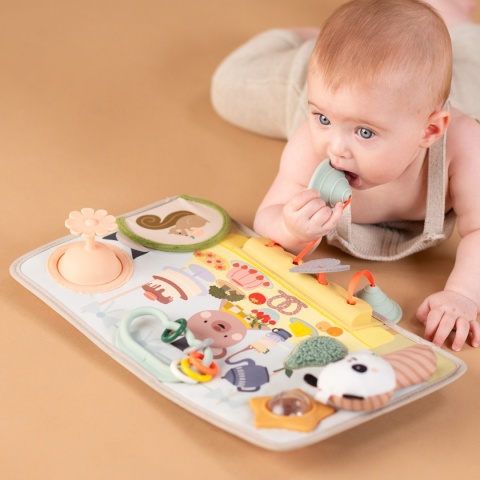 Interaktywna Książeczka Manipulacyjna do Samochodu Wesoła Podróż Taf Toys