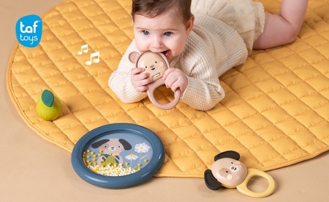 Zestaw Pierwszych Instrumentów Muzycznych Muzyczna Przygoda Taf Toys